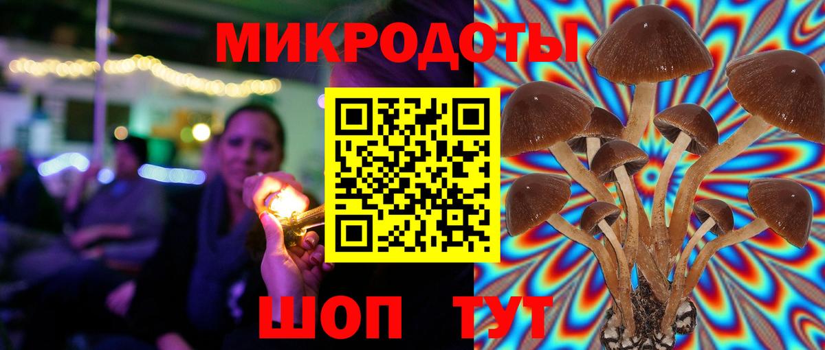 Псилоцибиновые грибы Magic Shrooms Люберцы