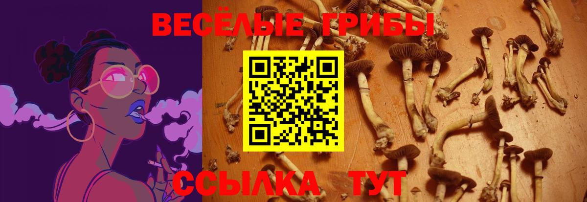 Люберцы  Галлюциногенные грибы прущие грибы  Вход с VPN 